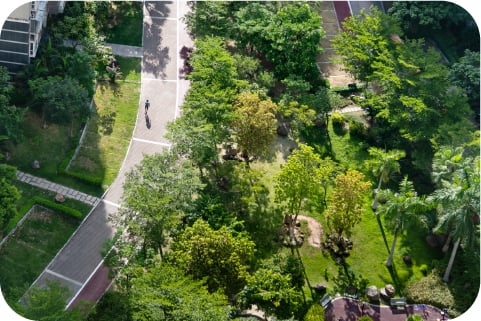 上空から見た都市の緑地帯と整備された公園