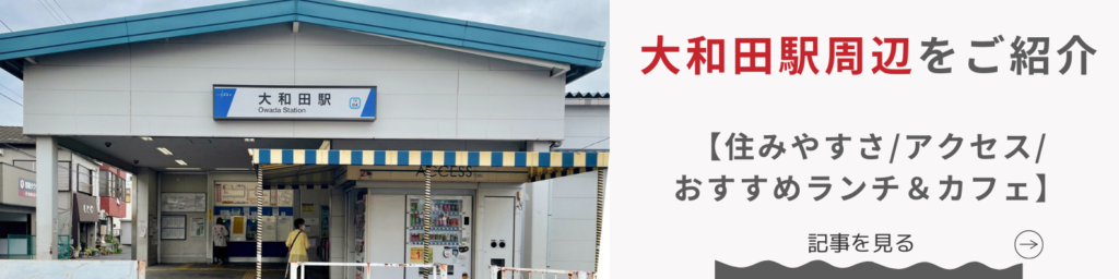さいたま市見沼区大和田駅周辺をご紹介【住みやすさ、アクセス、おすすめランチ＆カフェ】