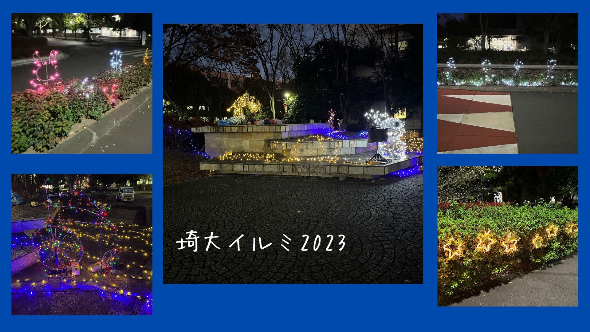 【埼玉大学でイルミネーション？】埼大イルミ2023
