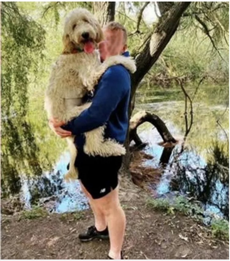 区分所有におけるペット飼育について