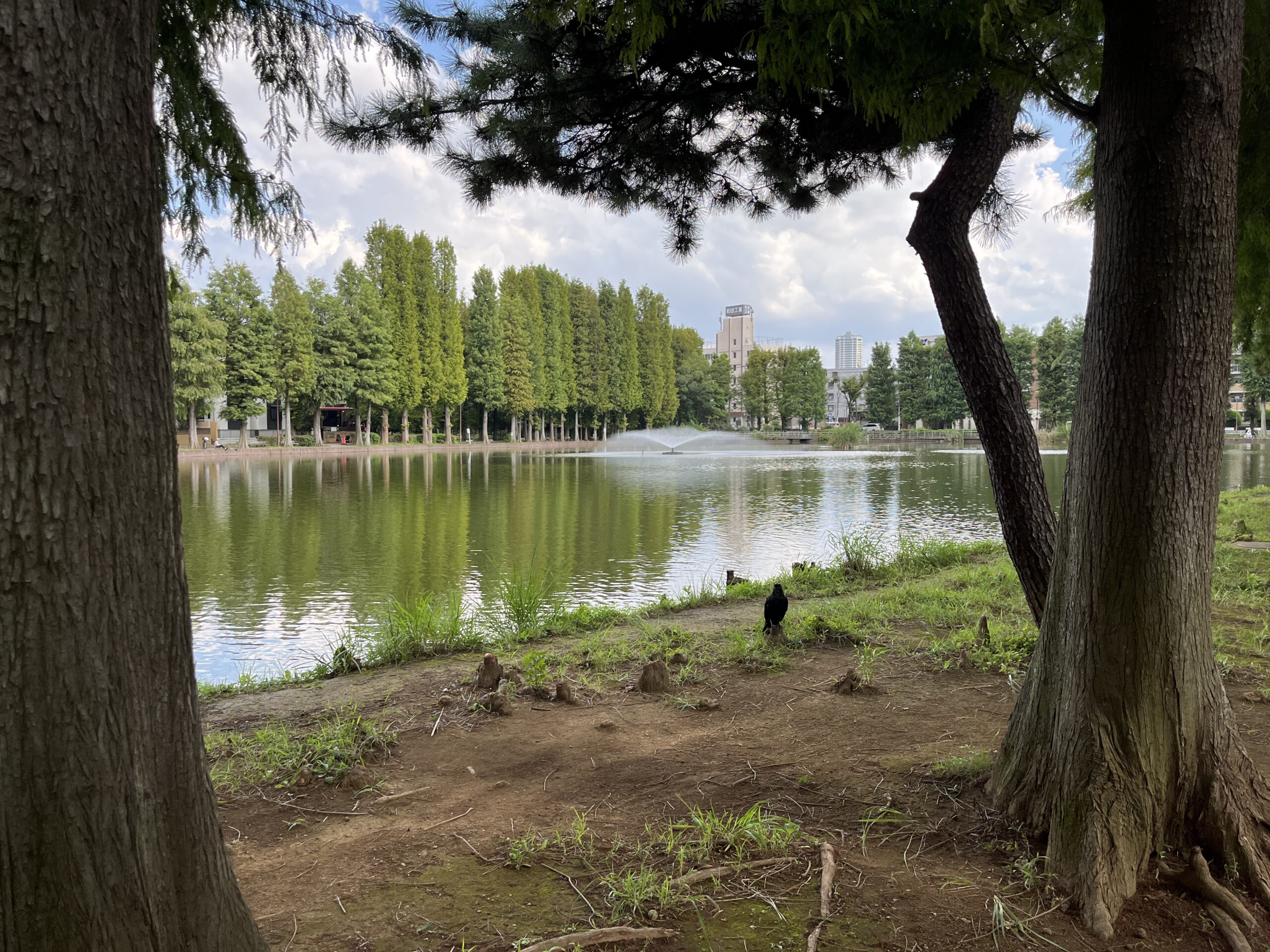 パークホームズ浦和ミッドレジデンス – 周辺マップ～浦和駅西口編～